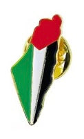 Palestine Map Pin – Metal Finish
